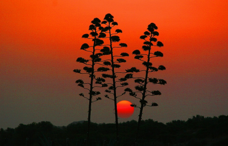 Riserva Naturale dello Stagnone a Marsala