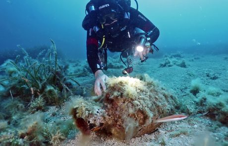 Itinerario culturale subacqueo di Isola delle Femmine_photo Salvo Emma