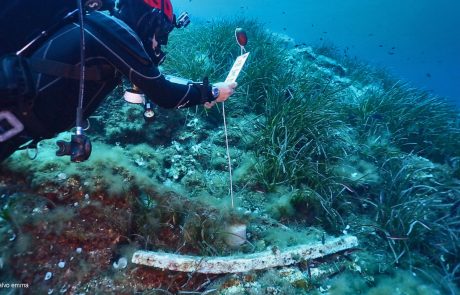 Ustica_Itinerario subacqueo di Punta Falconiera_Ceppo d'ancora in piombo_photo salvo emma