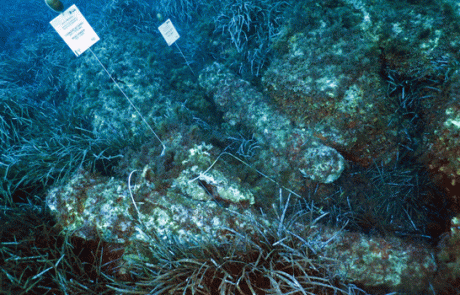 marettimo-cannoni_foto