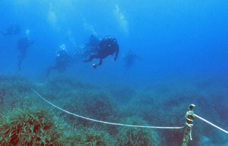 scopello-faraglioni_foto