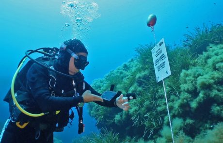 ustica itinerario punta gavazzi_sistema di lettura dei reperti_photo Salvo Emma