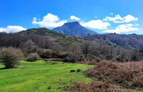 Monte Scuderi da Piano Margi Fiumedinisi - Cozzo Pietro