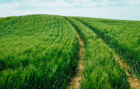 Madonie - ph. Just Maria