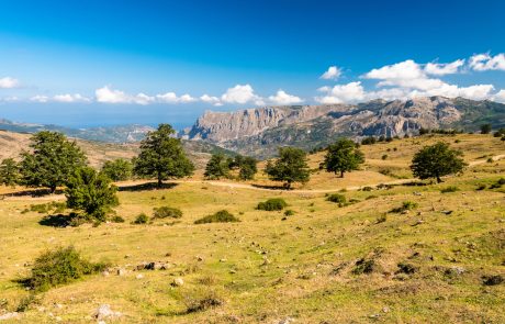 Nebrodi - ph. Just Maria