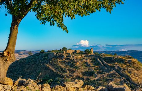 Occhiolà - Tiziana Russo