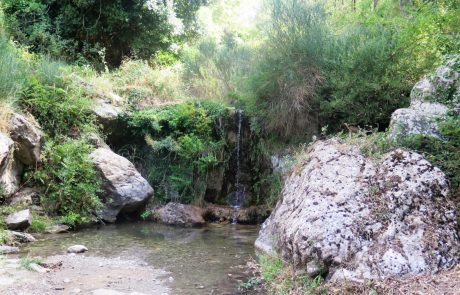 Floresta - ph. Ass. Amici dei Cammini Francigeni di Sicilia
