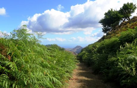 Novara di Sicilia - ph. Ass. Amici dei Cammini Francigeni di Sicilia