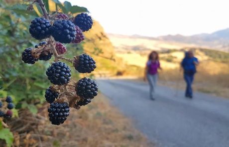 Troina - ph. Ass. Amici dei Cammini Francigeni di Sicilia