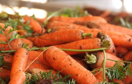 Carota novella di Ispica igp