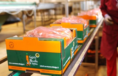 Carota novella di Ispica igp