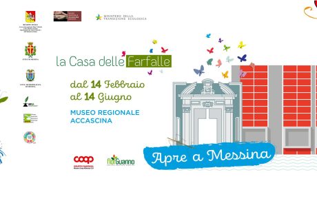 La casa delle farfalle 2025 - credits